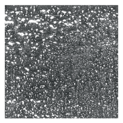 Mosaico in vetro Argento Flat