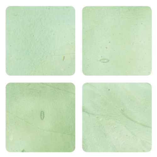 Mosaico in vetro Verde Acido